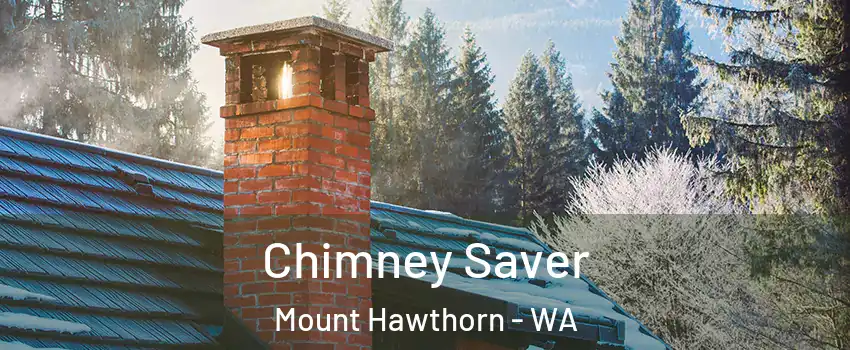 Chimney Saver Mount Hawthorn - WA