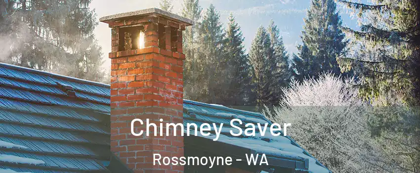 Chimney Saver Rossmoyne - WA