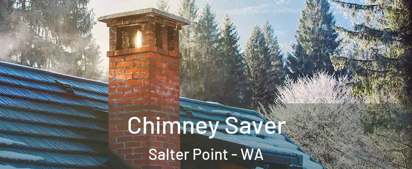 Chimney Saver Salter Point - WA