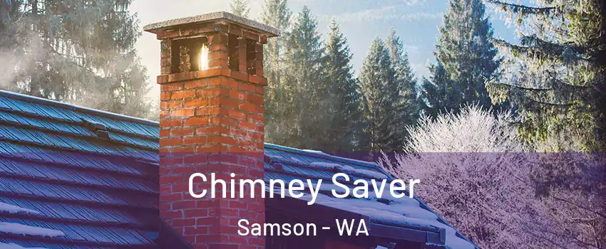 Chimney Saver Samson - WA