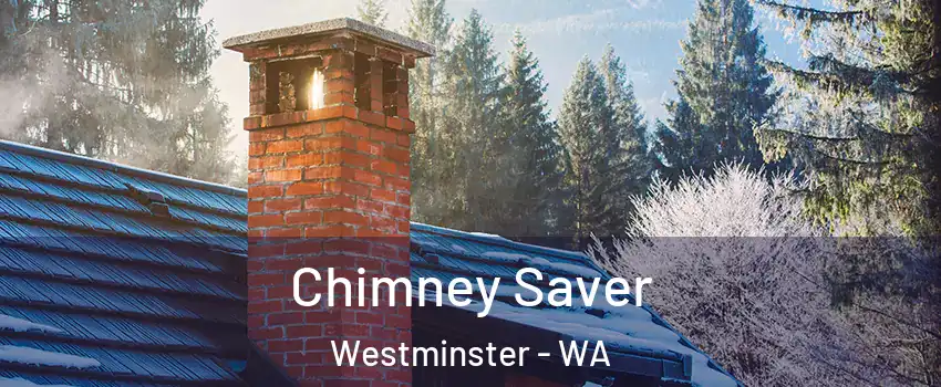 Chimney Saver Westminster - WA