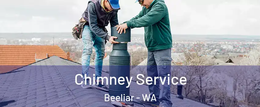 Chimney Service Beeliar - WA