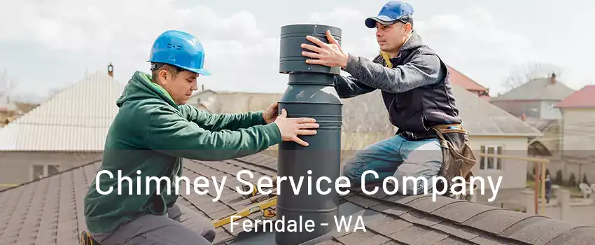 Chimney Service Company Ferndale - WA