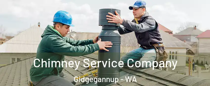 Chimney Service Company Gidgegannup - WA