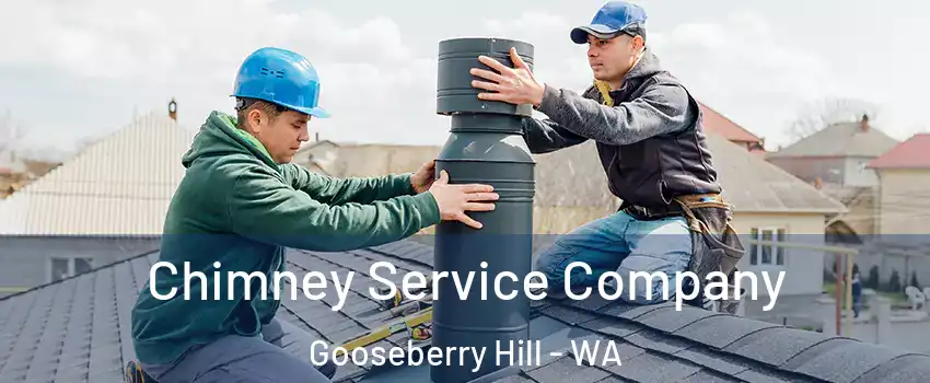 Chimney Service Company Gooseberry Hill - WA