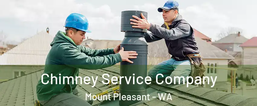 Chimney Service Company Mount Pleasant - WA