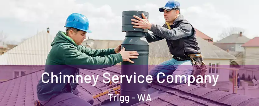Chimney Service Company Trigg - WA