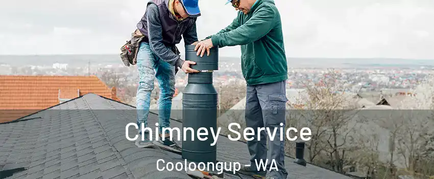 Chimney Service Cooloongup - WA