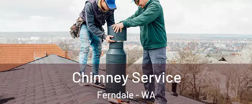 Chimney Service Ferndale - WA
