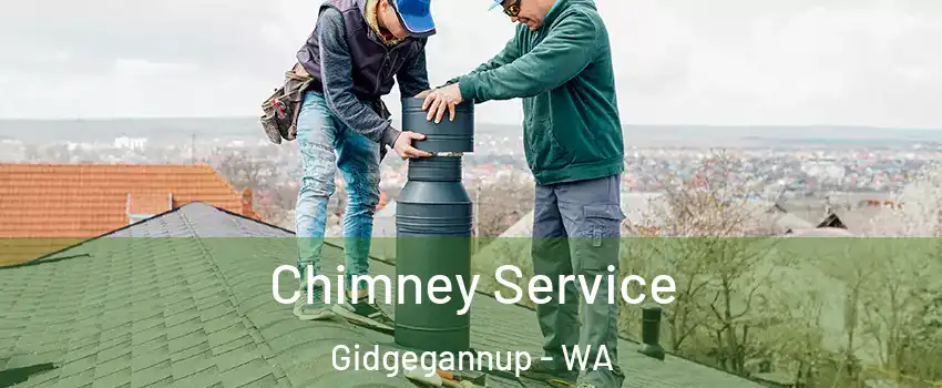 Chimney Service Gidgegannup - WA
