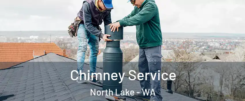 Chimney Service North Lake - WA