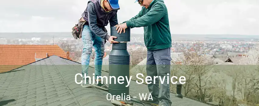 Chimney Service Orelia - WA