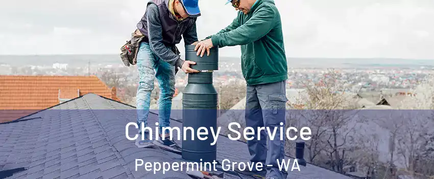 Chimney Service Peppermint Grove - WA
