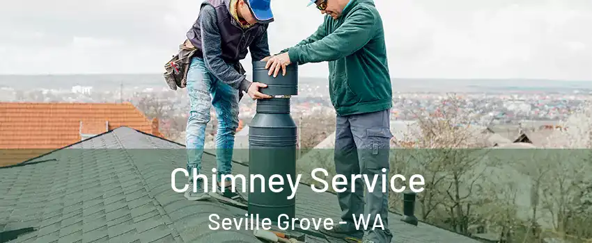 Chimney Service Seville Grove - WA