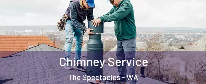 Chimney Service The Spectacles - WA