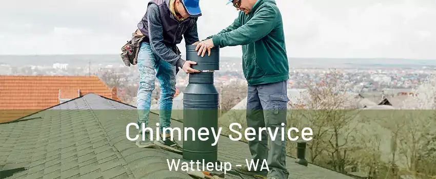 Chimney Service Wattleup - WA