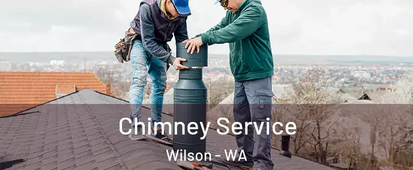 Chimney Service Wilson - WA