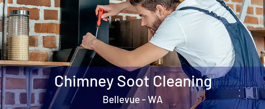 Chimney Soot Cleaning Bellevue - WA