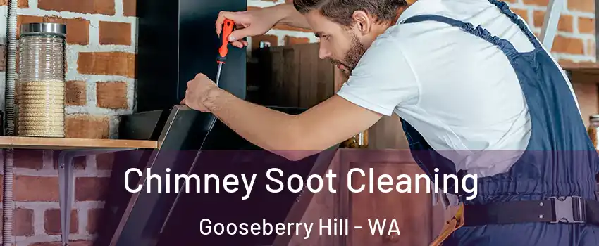 Chimney Soot Cleaning Gooseberry Hill - WA