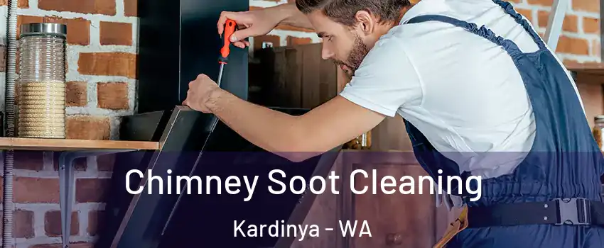 Chimney Soot Cleaning Kardinya - WA