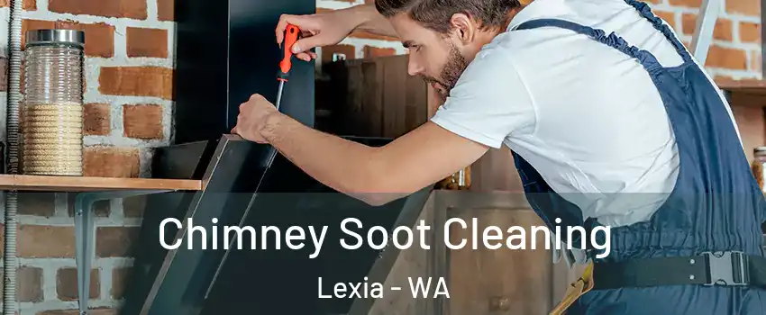 Chimney Soot Cleaning Lexia - WA
