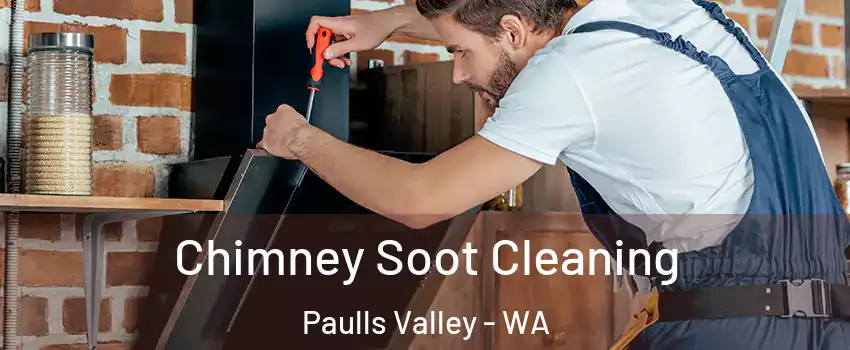 Chimney Soot Cleaning Paulls Valley - WA