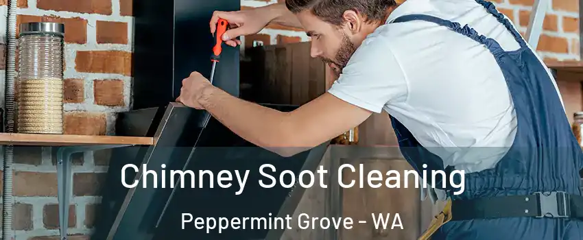 Chimney Soot Cleaning Peppermint Grove - WA