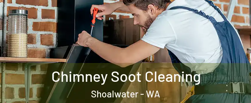 Chimney Soot Cleaning Shoalwater - WA