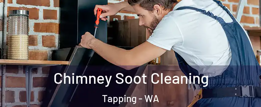 Chimney Soot Cleaning Tapping - WA
