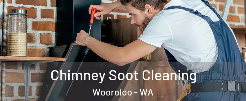 Chimney Soot Cleaning Wooroloo - WA