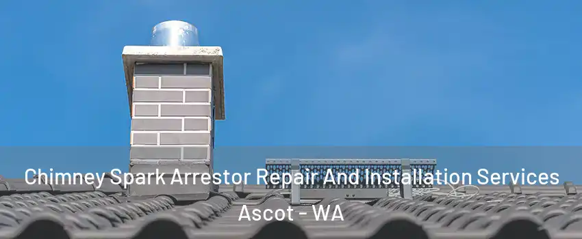 Chimney Spark Arrestor Repair And Installation Services Ascot - WA