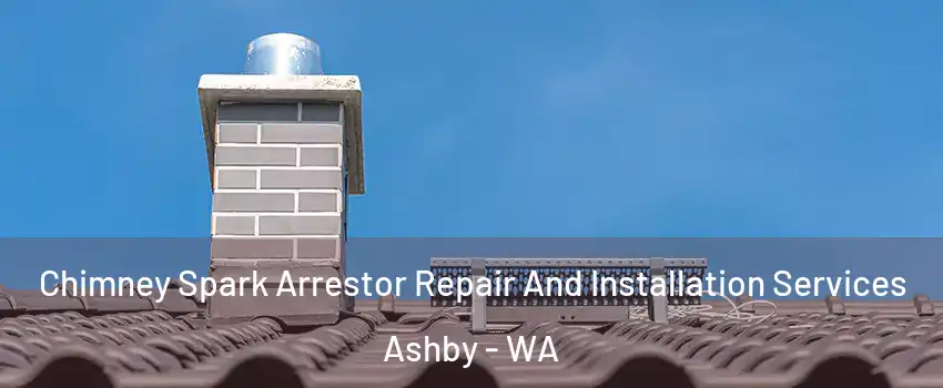 Chimney Spark Arrestor Repair And Installation Services Ashby - WA