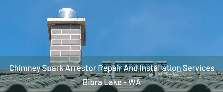 Chimney Spark Arrestor Repair And Installation Services Bibra Lake - WA