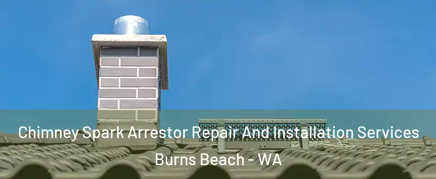 Chimney Spark Arrestor Repair And Installation Services Burns Beach - WA