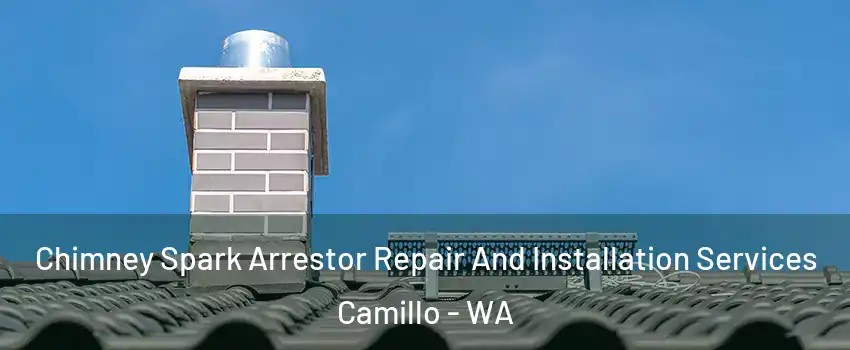 Chimney Spark Arrestor Repair And Installation Services Camillo - WA