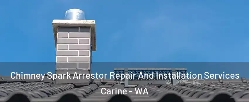 Chimney Spark Arrestor Repair And Installation Services Carine - WA