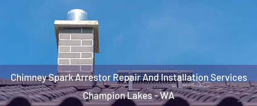 Chimney Spark Arrestor Repair And Installation Services Champion Lakes - WA