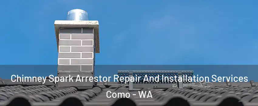 Chimney Spark Arrestor Repair And Installation Services Como - WA