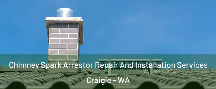 Chimney Spark Arrestor Repair And Installation Services Craigie - WA
