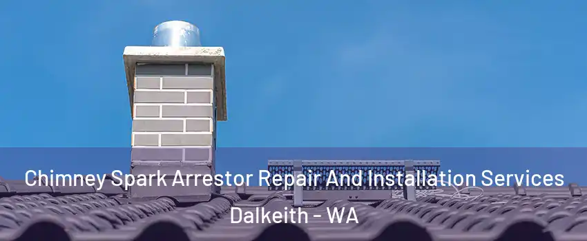 Chimney Spark Arrestor Repair And Installation Services Dalkeith - WA