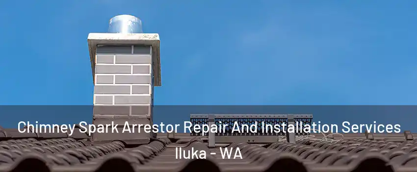 Chimney Spark Arrestor Repair And Installation Services Iluka - WA