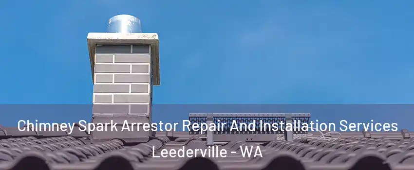Chimney Spark Arrestor Repair And Installation Services Leederville - WA