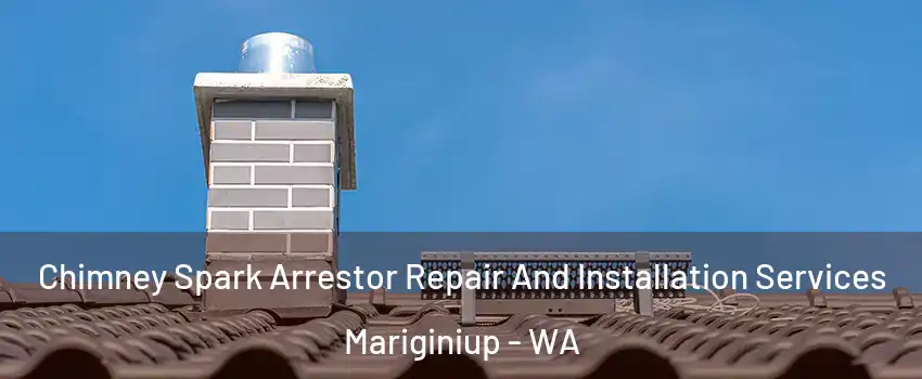 Chimney Spark Arrestor Repair And Installation Services Mariginiup - WA