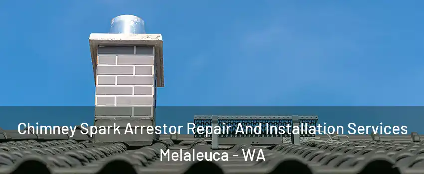 Chimney Spark Arrestor Repair And Installation Services Melaleuca - WA
