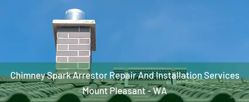  Chimney Spark Arrestor Repair And Installation Services Mount Pleasant - WA