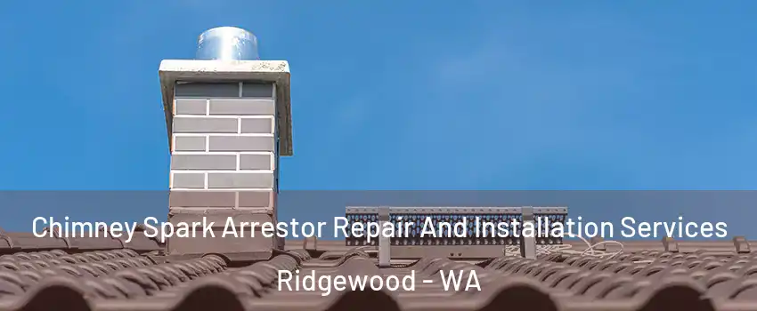 Chimney Spark Arrestor Repair And Installation Services Ridgewood - WA