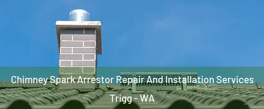 Chimney Spark Arrestor Repair And Installation Services Trigg - WA