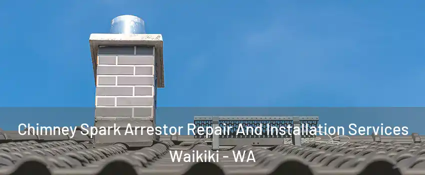 Chimney Spark Arrestor Repair And Installation Services Waikiki - WA