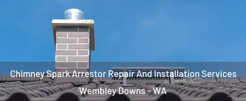 Chimney Spark Arrestor Repair And Installation Services Wembley Downs - WA