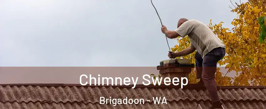 Chimney Sweep Brigadoon - WA